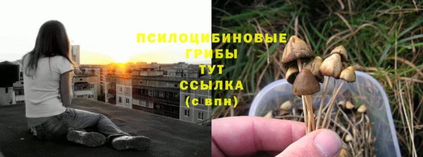 прущие крисы Армянск
