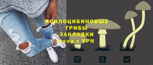 молекула духа Алексин
