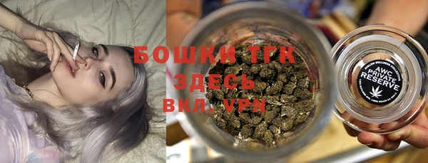 молекула духа Алексин