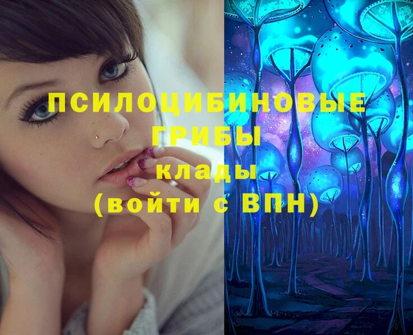кокс Алзамай