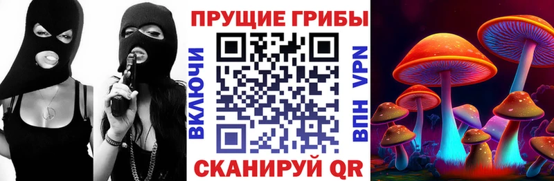 OMG как зайти  Пущино  площадка состав  Псилоцибиновые грибы Cubensis 