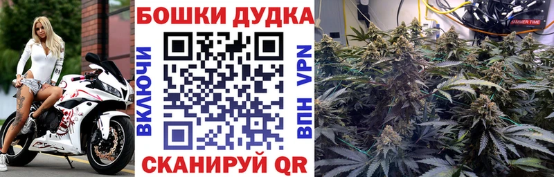 Канабис семена  MEGA ссылка  Пущино 